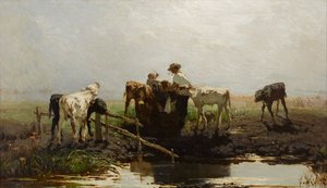 Cielęta w korycie