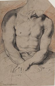 Chrystus ukoronowany cierniem. Tułów Chrystusa. Po Van Dycku autorstwa Willem Panneels