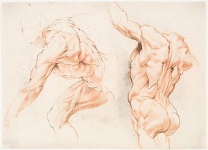 Dwa badania anatomiczne mężczyzny pochylonego w lewo i jedno widziane od tyłu z podniesioną ręką (écorché) autorstwa Willem Panneels