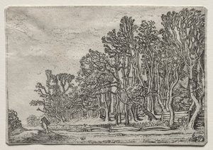Zestaw krajobrazów: dwa żywopłoty z desek, 1616.