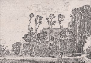 Siewca, z Verscheyden Landtschapjes Różne małe pejzaże, tabl. 5, ca. 1616.