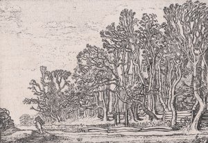 Dwa żywopłoty z desek, z Verscheyden Landtschapjes Różne małe krajobrazy, płyta 6,..., ca. 1616.
