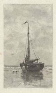 Bomschuit autorstwa Willem Steelink (II)