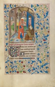 Saint Jerome autorstwa Willem Vrelant