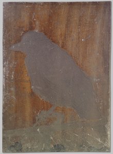 Wrona Ina autorstwa Willem Arnoldus Witsen