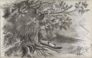Krajobraz z dużym drzewem w Rhenen autorstwa Willem Arnoldus Witsen