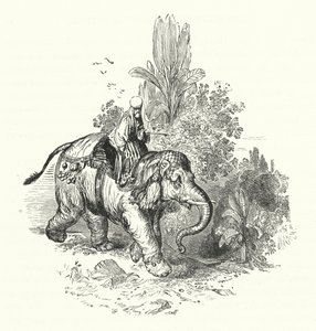 „Abd-El-Kuddoos na słoniu (rycina) autorstwa William (after) Harvey