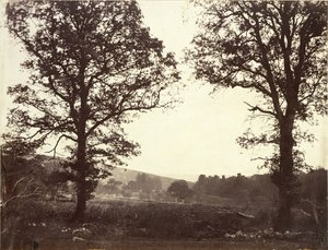 Krajobraz z wiązami, Ashdown, Wielka Brytania autorstwa William 2nd Earl of Craven