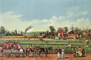  autorstwa William Aiken (after) Walker
