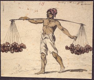 WD 961 f.279 autorstwa William Alexander