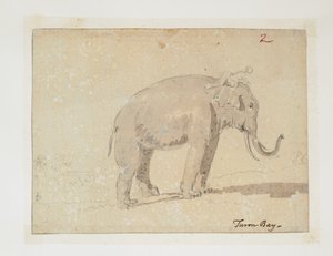 WD 961 f.2 autorstwa William Alexander
