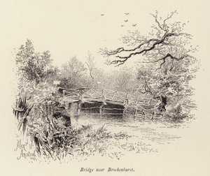 Most w pobliżu Brockenhurst (grawerunek) autorstwa William Alexander Ansted
