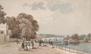 polish autorstwa William Alfred Delamotte