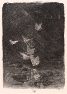 Nocne ćmy