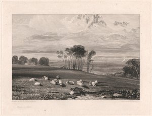 Crowhurst, Sussex autorstwa William Bernard Cooke