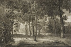 Widok z altany Elizejskiej autorstwa William Birch