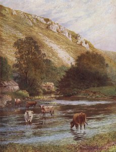 On the Wye, Upper Dale Farm, Monsal Dale (kolor lito) autorstwa William Biscombe Gardner