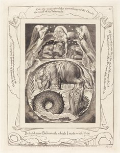 Behemot i Lewiatan autorstwa William Blake