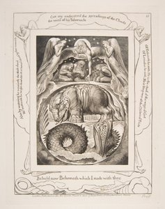 Behemot i Lewiatan, z ilustracji Księgi Hioba, 1825-26. autorstwa William Blake