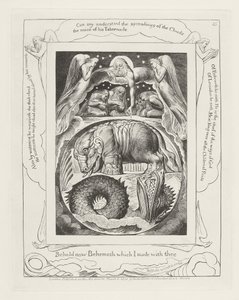 Oto Behemot, którego stworzyłem z tobą! autorstwa William Blake