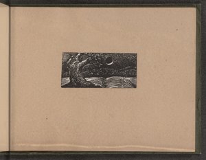 Przeklęte drzewo i spłaszczone rośliny, 1821. autorstwa William Blake