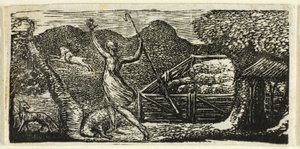 Pasterz odpędza wilka, z Pastorals of Virgil autorstwa William Blake