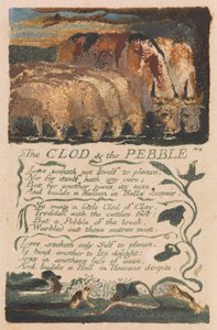 Pieśni niewinności i doświadczenia, płyta 36, „The Clod and the Pebble” (Bentley 32) autorstwa William Blake