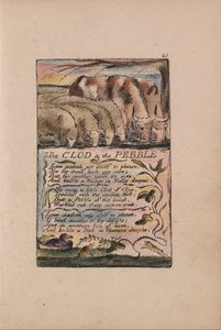 Pieśni o niewinności i doświadczeniu, płyta 40, Grudka i kamyk (Bentley 32) autorstwa William Blake