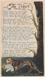 Pieśni niewinności i doświadczenia, płyta 42, Tygrys (Bentley 42) autorstwa William Blake