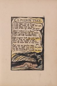 Pieśni o niewinności i doświadczeniu, płyta 50, Trujące drzewo (Bentley 49) autorstwa William Blake