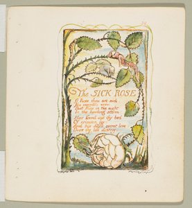 Pieśni niewinności i doświadczenia: Chora róża, ca. 1825. autorstwa William Blake