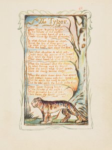 Pieśni o niewinności i doświadczeniu: Tygrys, ok. 1825 (brązowa akwaforta ręcznie malowana akwarelą) autorstwa William Blake