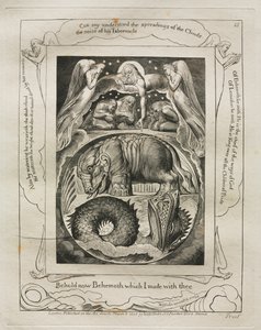 Księga Hioba: Pl. 15, Oto Behemot, którego stworzyłem z tobą autorstwa William Blake