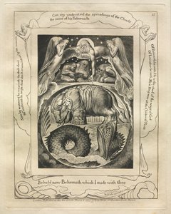 Księga Hioba: Pl. 15, Oto Behemot, którego stworzyłem z tobą autorstwa William Blake