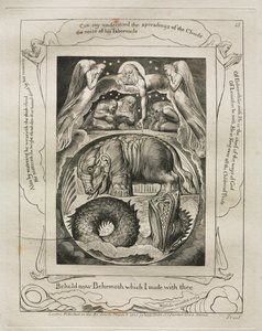 Księga Hioba: Pl. 15, Oto Behemot, którego stworzyłem z tobą, 1825. autorstwa William Blake