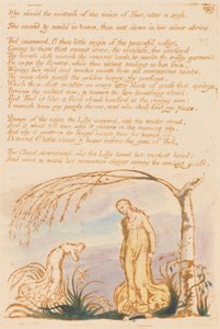 The Book of Thel, płyta 4, Dlaczego kochanka . . . . autorstwa William Blake