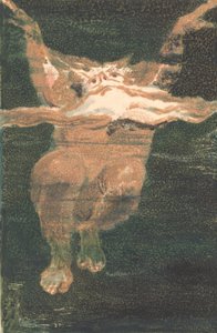 Pierwsza Księga Urizena, płyta 5 (Bentley 12) autorstwa William Blake