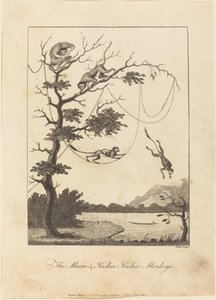 Małpy Mecoo i Kisbee Kishee, 1793. autorstwa William Blake