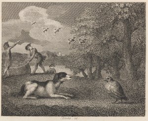 Pies zastawiający i kuropatwa autorstwa William Blake
