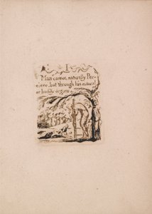 Nie ma naturalnej religii, płyta 3, ja człowiek nie mogę naturalnie. . . . (Bentley A4) autorstwa William Blake