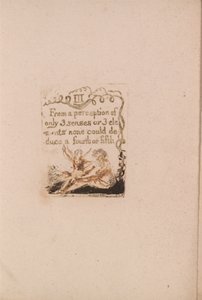 Nie ma religii naturalnej, tab. 5, III Z percepcji . . . . (Bentley A6) autorstwa William Blake
