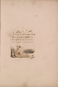Nie ma religii naturalnej, Tablica 6, IV Nikt nie mógł mieć . . . . (Bentley a7) autorstwa William Blake