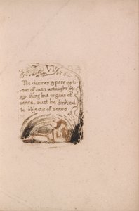 Nie ma religii naturalnej, Tablica 8, VI Pragnienia i percepcje . . . . (Bentley a9) autorstwa William Blake