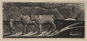 Jałówki Unyokd, Loitering Homeward, z Thorntons Pastorals of Virgil, 1821. autorstwa William Blake