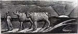 Niezaczepione jałówki wędrujące do domu, ilustracja z „The Pastorals of Virgil” dr Thorntona autorstwa William Blake