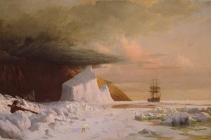 Arktyczne lato: nudne w stadzie w Melville Bay, 1871.