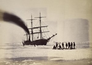 Polowanie przez Steam w Melville Bay