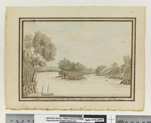 Opp. p. 120. `Widok w górnej części Port Jackson; kiedy ryba została zastrzelona.