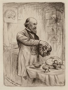 William Turner, profesor anatomii (rycina) autorstwa William Brassey (after) Hole