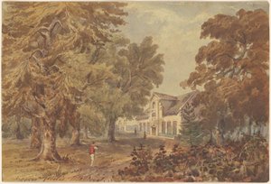 Cloetis autorstwa William Brenton Boggs